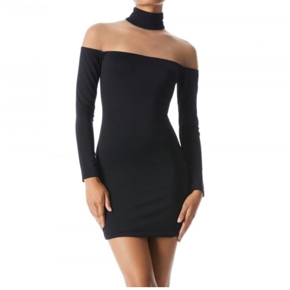 Alice + Olivia ZAHRA SHEER TURTLENECK MINI DRESS | Size 0 | New with tag - Picture 2 of 6